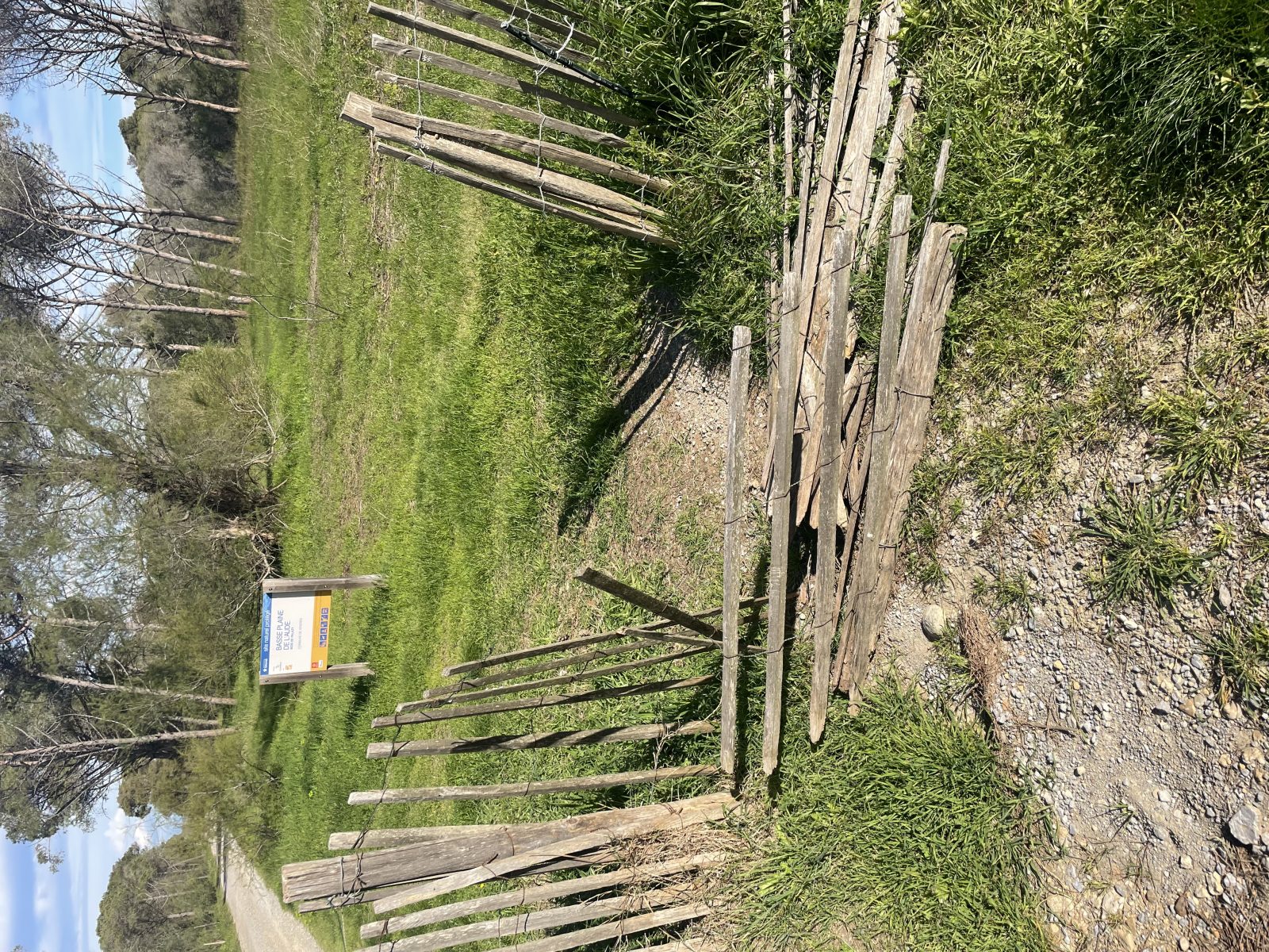 Photo du signalement